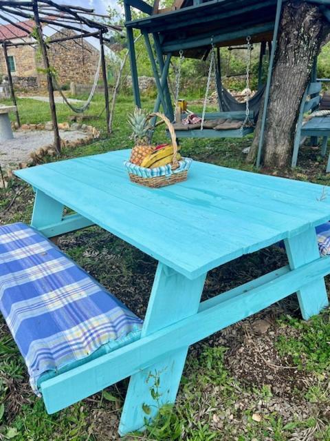 Zion Jardim Monsanto Bed & Breakfast エクステリア 写真