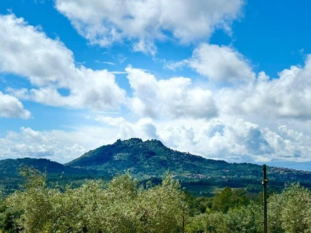 Zion Jardim Monsanto Bed & Breakfast エクステリア 写真