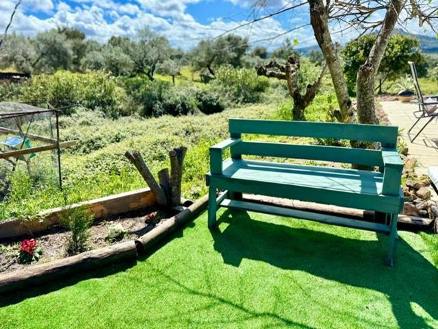 Zion Jardim Monsanto Bed & Breakfast エクステリア 写真