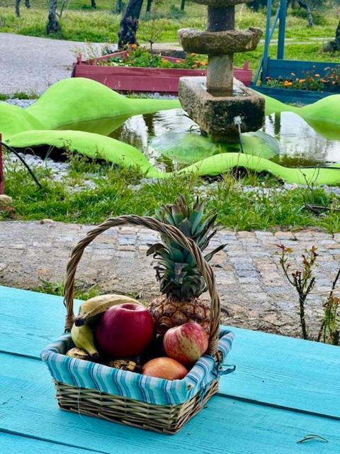 Zion Jardim Monsanto Bed & Breakfast エクステリア 写真