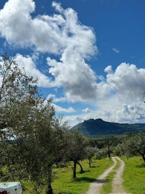 Zion Jardim Monsanto Bed & Breakfast エクステリア 写真