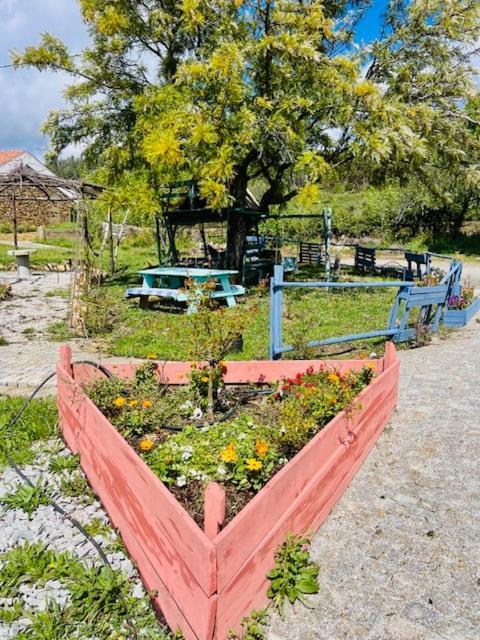 Zion Jardim Monsanto Bed & Breakfast エクステリア 写真