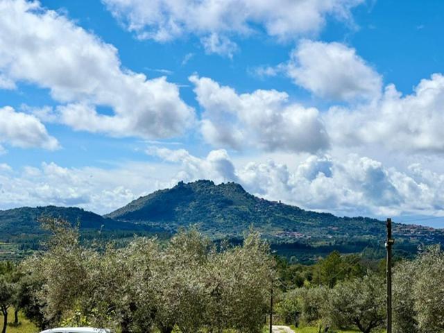 Zion Jardim Monsanto Bed & Breakfast エクステリア 写真