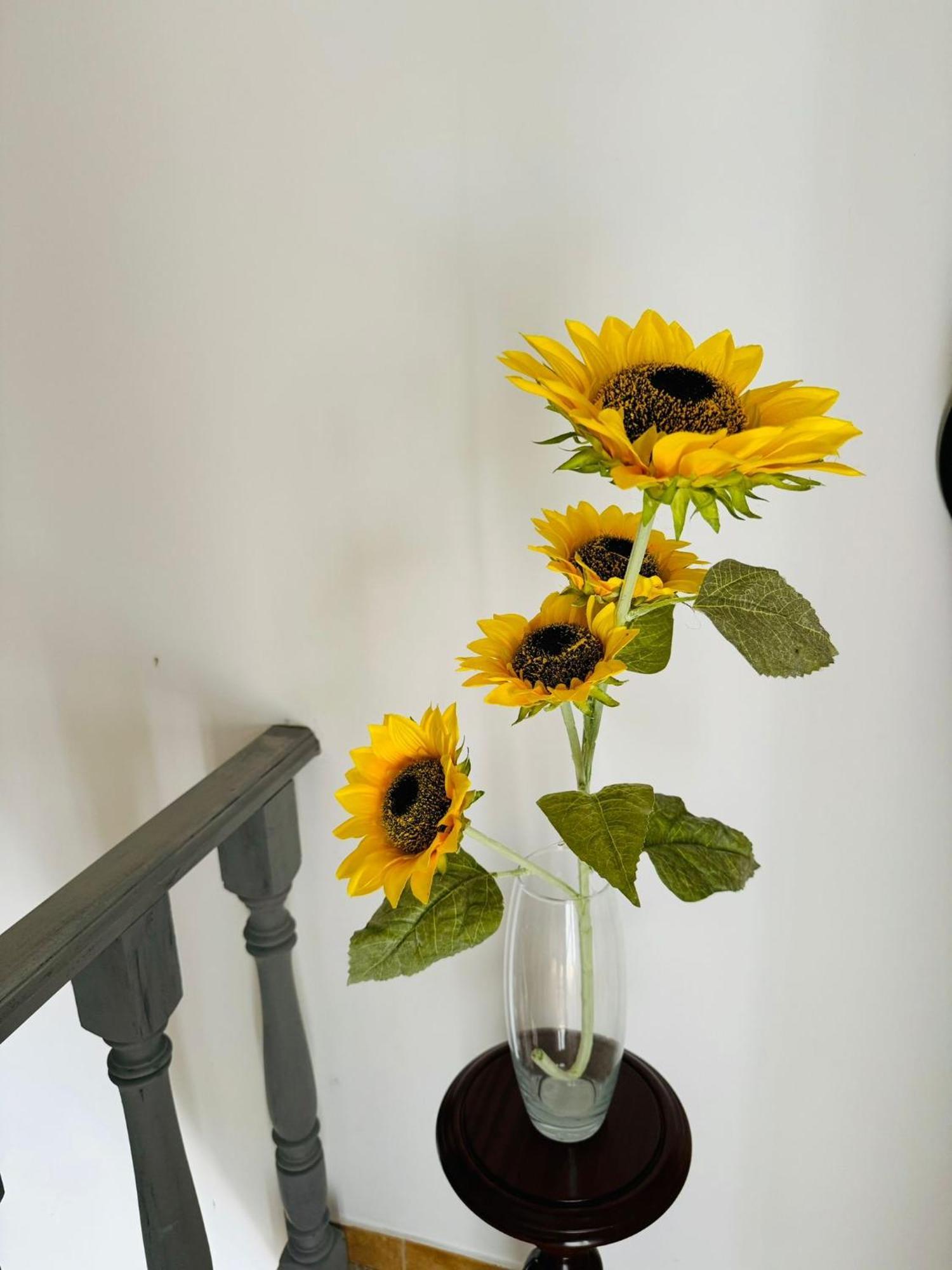 Zion Jardim Monsanto Bed & Breakfast エクステリア 写真