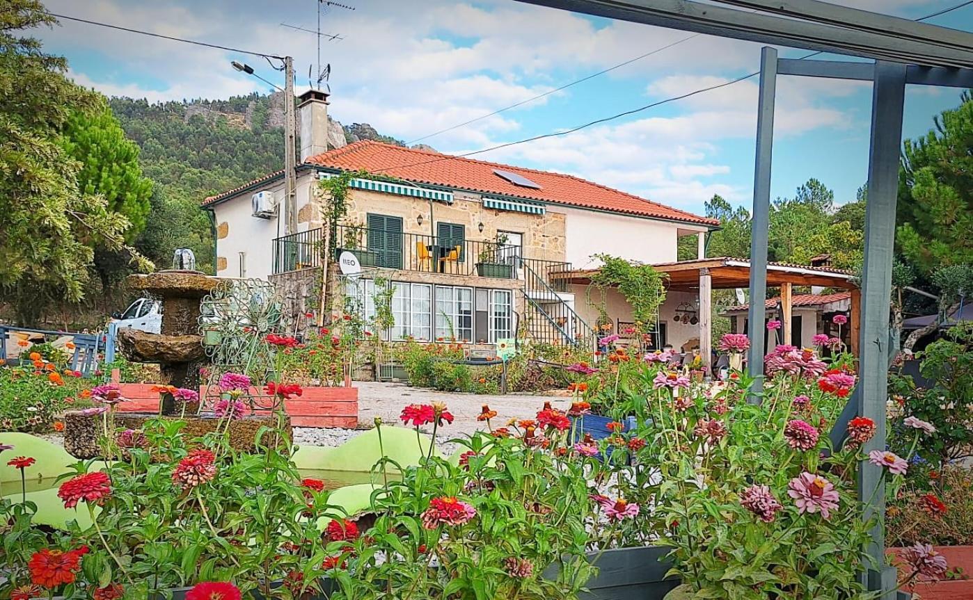 Zion Jardim Monsanto Bed & Breakfast エクステリア 写真